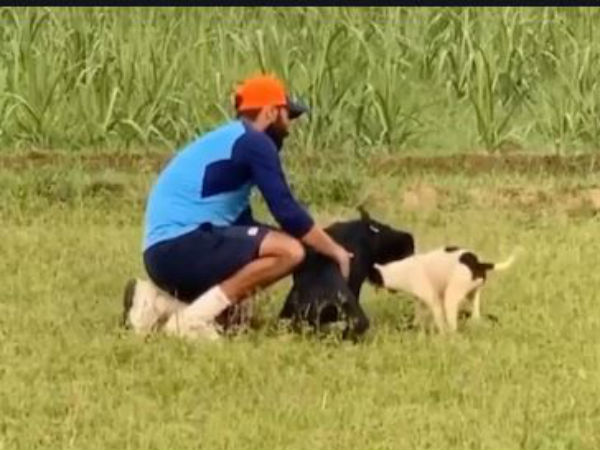 శునకంతో పరుగు